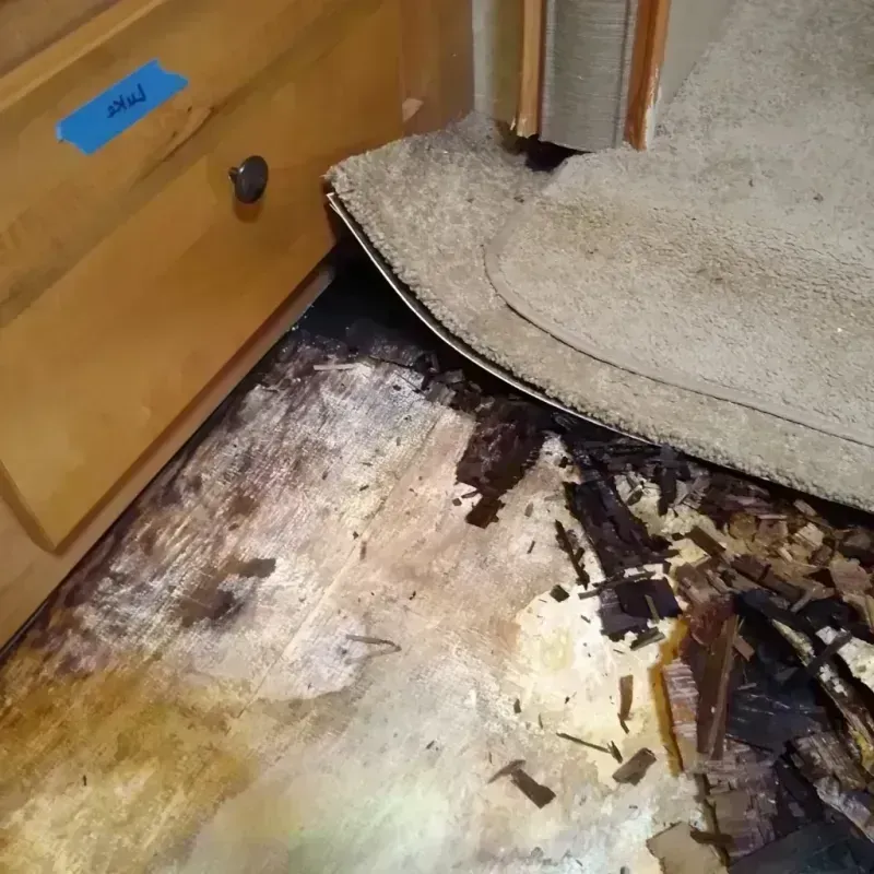 Wood Floor Water Damage in Palo Alto, CA